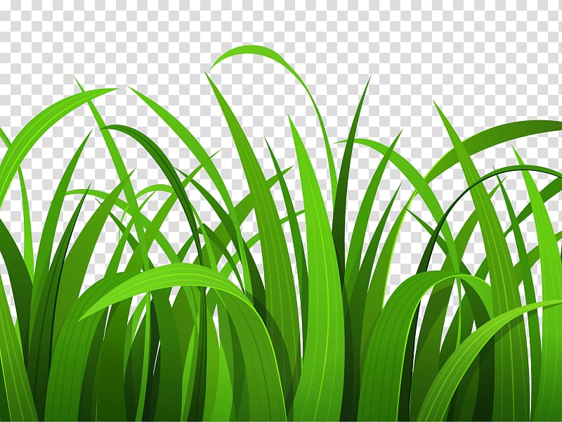 Free content , Grass Border transparent background PNG clipart