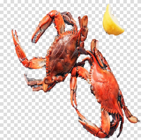 American lobster Homarus gammarus Dungeness crab The Garlic Crab Crayfish, Covina transparent background PNG clipart