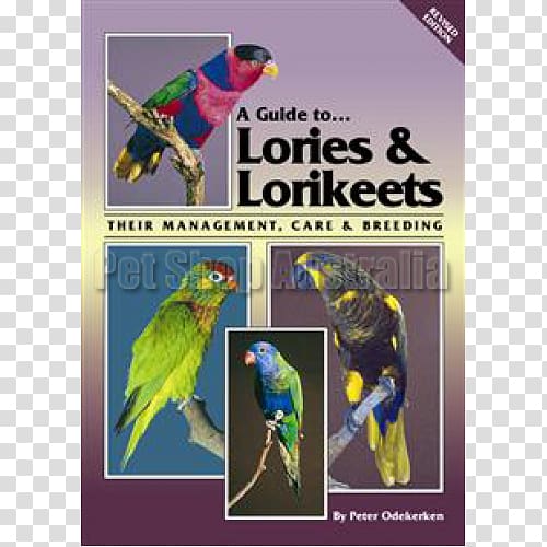 Macaw Parrot A Guide to Lories and Lorikeets (Revised Edition): Their Management, Care and Breeding Cockatiel Bird, Lories And Lorikeets transparent background PNG clipart