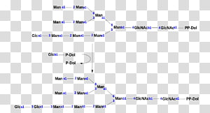 Line Point Angle Diagram, line transparent background PNG clipart thumbnail