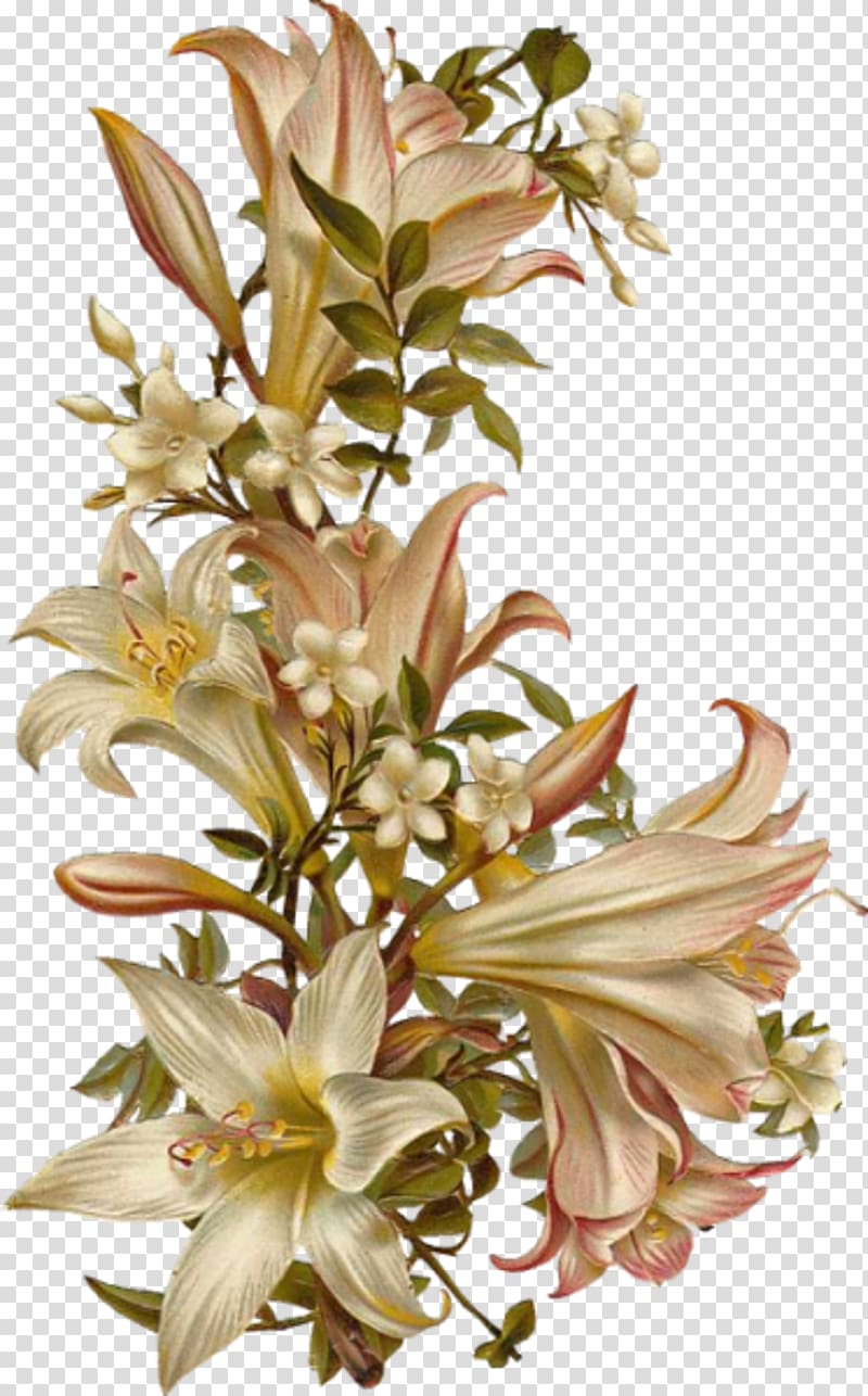 Flower , victory scatters flowers transparent background PNG clipart