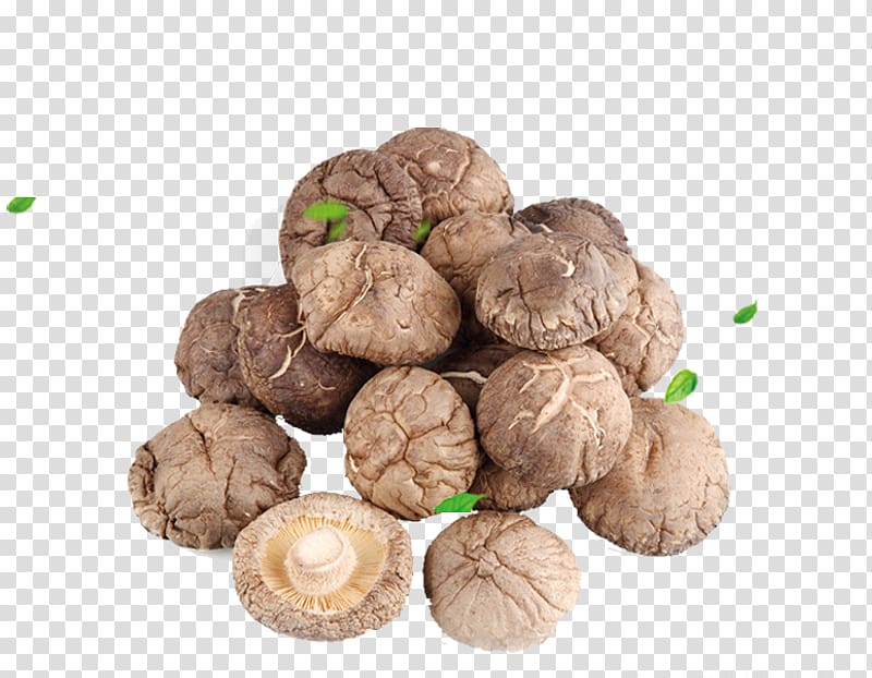 China Shiitake Oyster Mushroom Japanese Cuisine Food drying, Mushrooms floating green leaf leaves transparent background PNG clipart