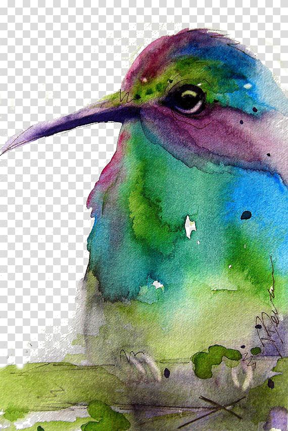 Hummingbird Green Purple, Green birds transparent background PNG clipart