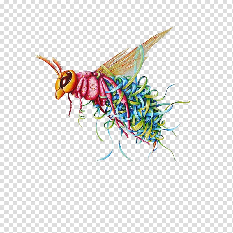 Insect Locust, insect transparent background PNG clipart
