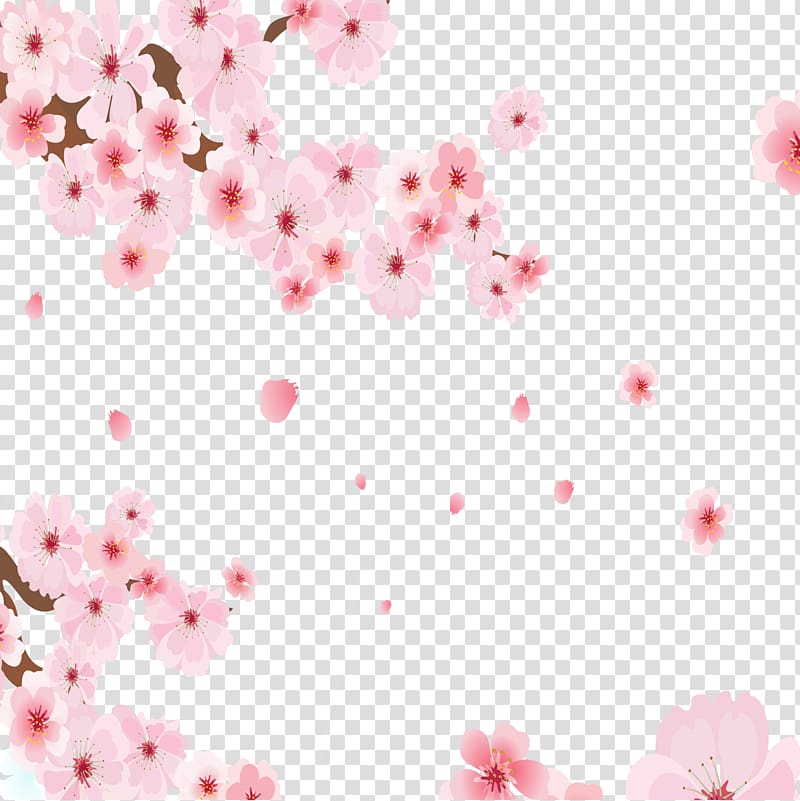 National Cherry Blossom Festival Cerasus, Pink hand-painted cherry tree transparent background PNG clipart