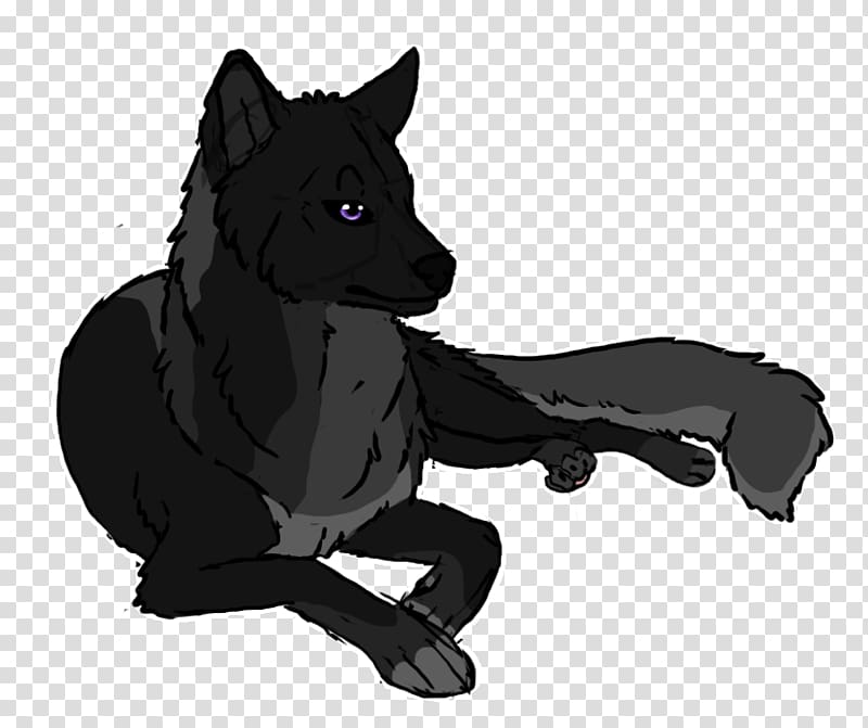 Schipperke Dog breed Snout Fur, Cat Resting transparent background PNG clipart