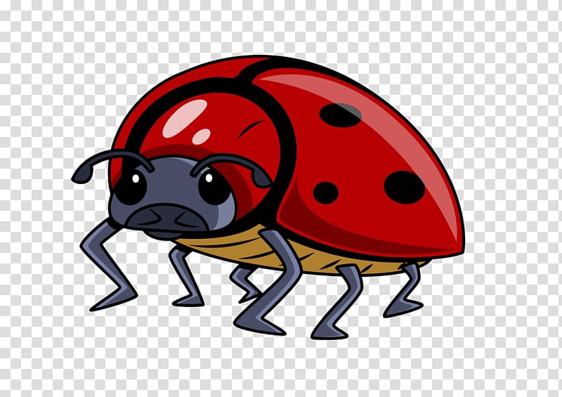 Caricature Cartoon Euclidean Illustration, Cartoon Ladybug transparent background PNG clipart