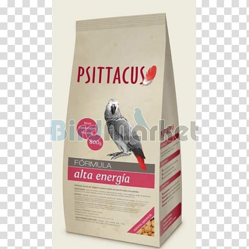 Parrots Bird Organic food Grey parrot, african grey parrot transparent background PNG clipart
