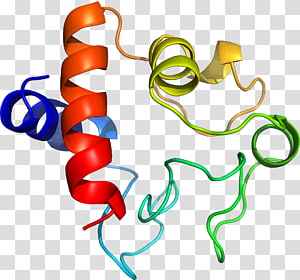 Line Point Body Jewellery , line transparent background PNG clipart thumbnail