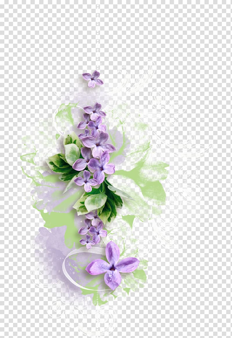 Flower , gladiolus transparent background PNG clipart