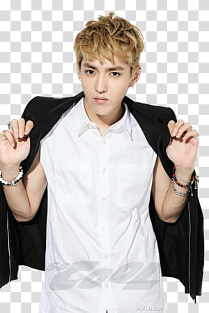 Kris Wu The Rap of China EXO Artist, magazine, sm Entertainment, wolf, hair  png