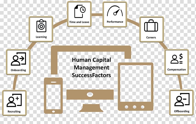 Human capital Human resource Onboarding Talent management, human capital transparent background PNG clipart