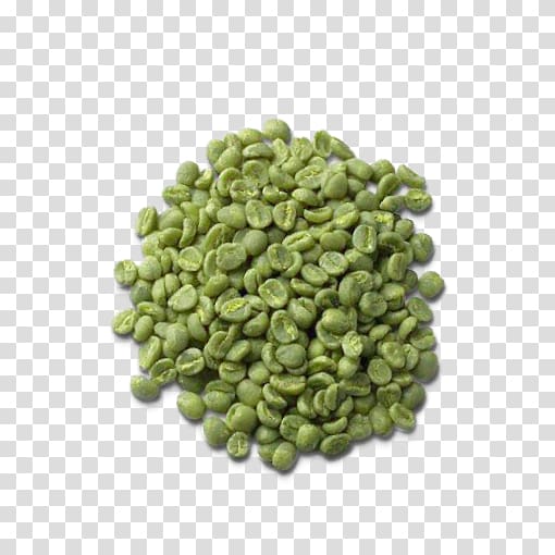 Coffee bean Green tea Mate Green coffee extract, coffee beans transparent background PNG clipart