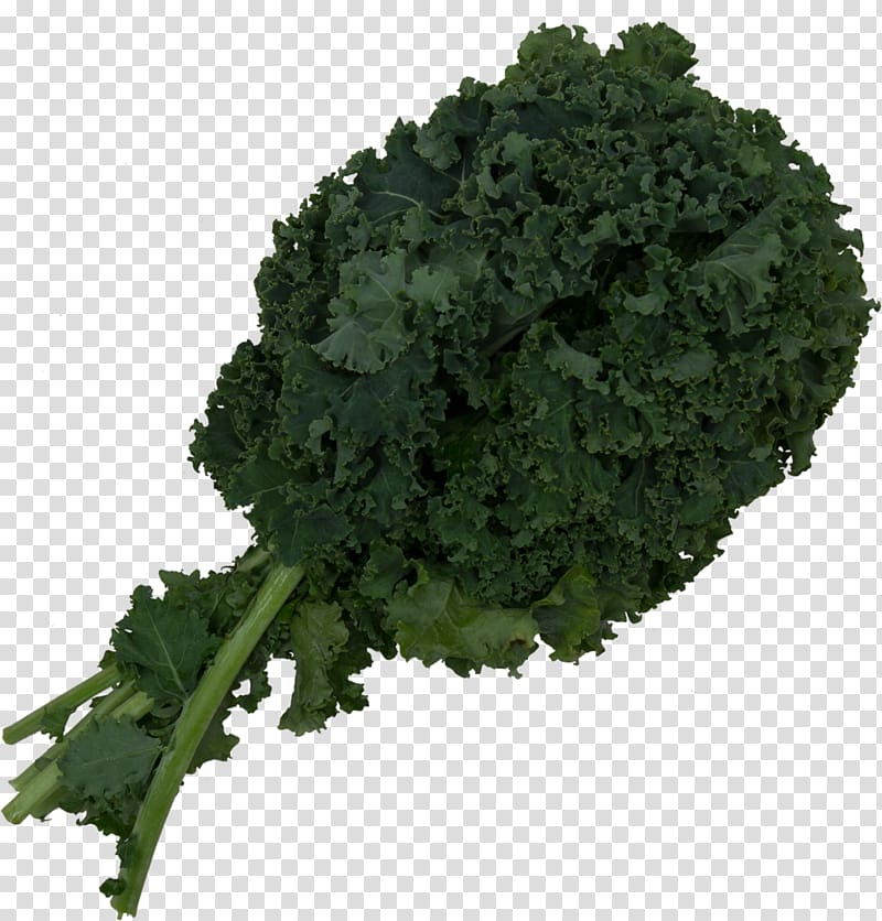 Kale Smoothie Collard greens Spring greens Broccoli, kale transparent background PNG clipart