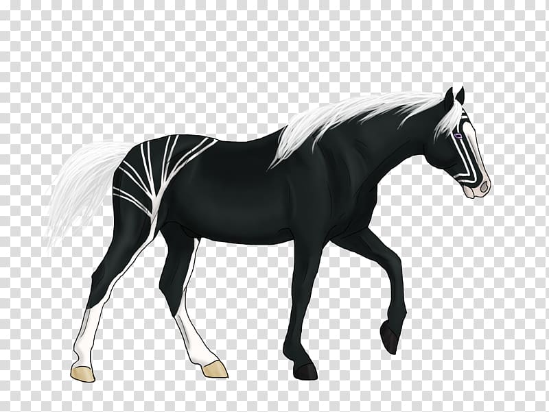 Stallion Friesian horse Mustang Foal Rein, Heart ink transparent background PNG clipart