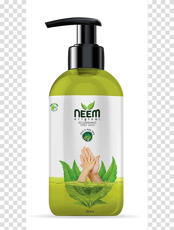 Aloe vera Lotion Food Hand washing Neem Tree, aloe vera transparent background PNG clipart