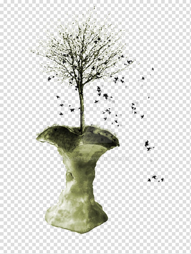 Vase Houseplant Forbidden fruit Plant stem , scribbles transparent background PNG clipart
