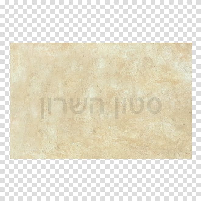 Floor, Sharon Stone transparent background PNG clipart