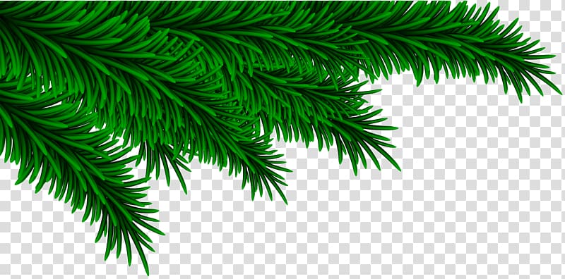 green leaves illustration, Christmas , Christmas Pine Branches Decorating transparent background PNG clipart