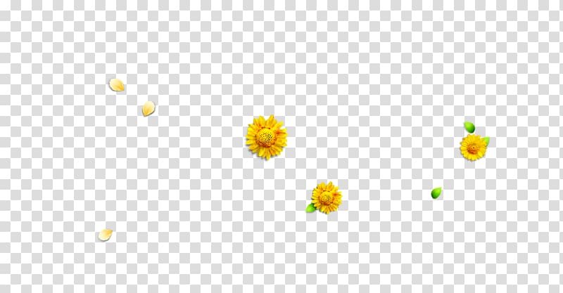 Petal Yellow Pattern, Chrysanthemum leaves petals transparent background PNG clipart