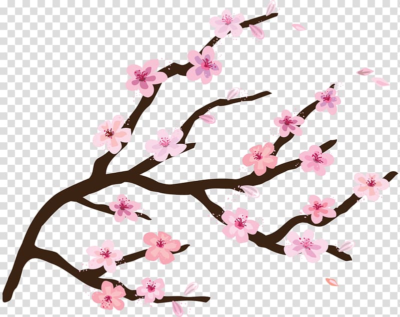 Camden National Cherry Blossom Festival, BLOSSOM transparent background PNG clipart