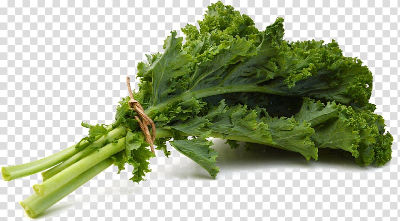 Curly kale Chou kale Vegetable Food, salade de kale transparent background PNG clipart