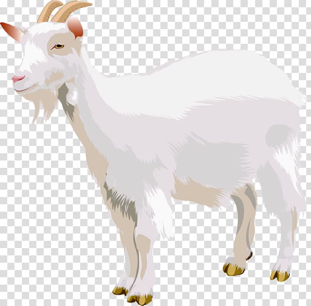 Goat transparent background PNG clipart