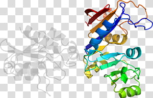 Organism , design transparent background PNG clipart thumbnail
