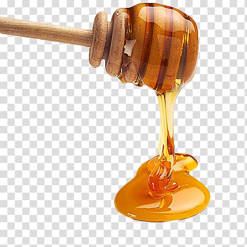 Honey , Honey Euclidean , honey transparent background PNG clipart |  HiClipart