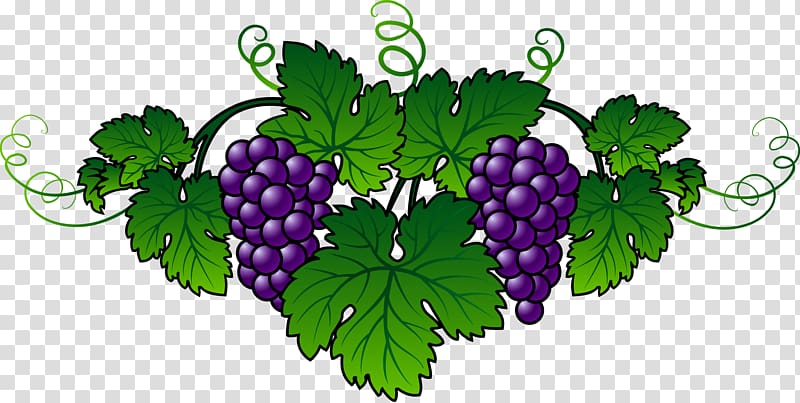 Wine Common Grape Vine Embroidery Berry, grape transparent background PNG clipart