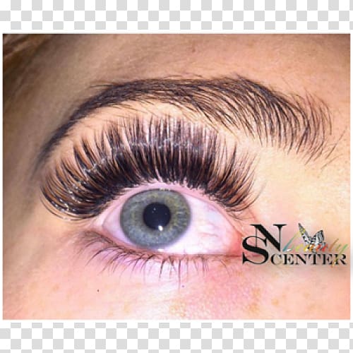 Eyelash extensions BLINK Lash & Beauty Eye liner Cosmetics, Bigli migli transparent background PNG clipart