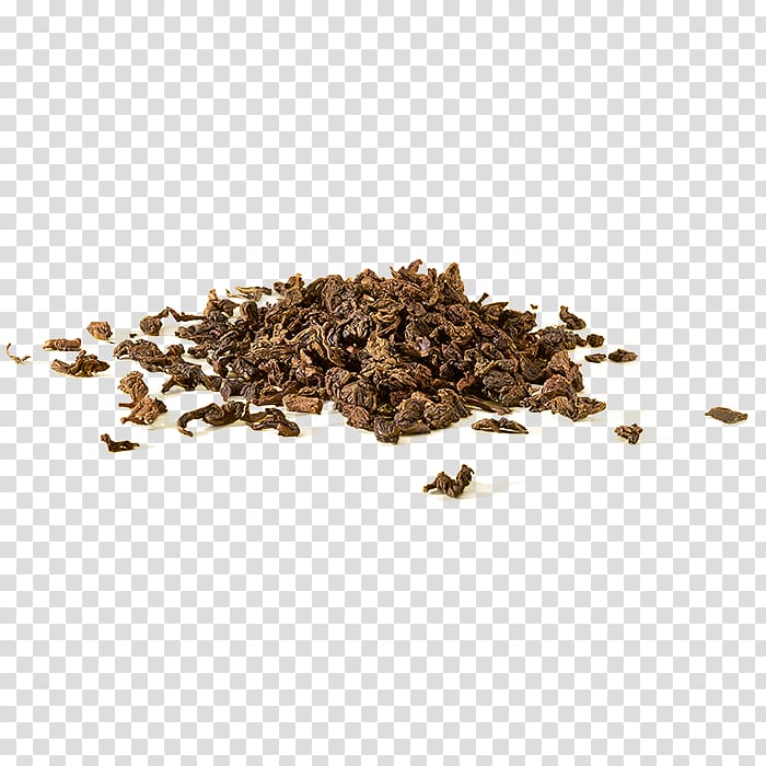 Hōjicha, coffee leaves transparent background PNG clipart