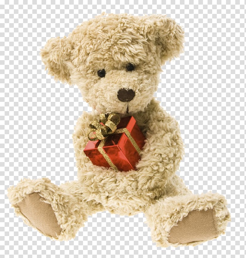 Teddy bear Doll, Bear doll gift transparent background PNG clipart