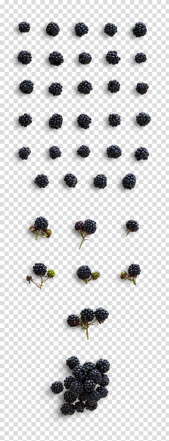 Berry Intercom, Fresh blueberries transparent background PNG clipart