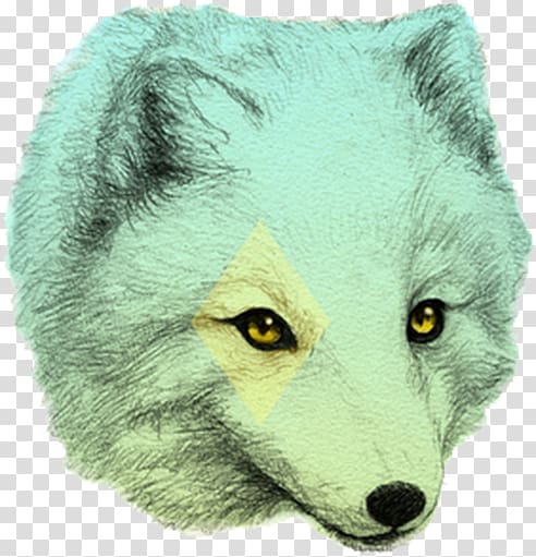 Fox Drawing Fashion illustration Art Illustration, Pretty Fox transparent background PNG clipart
