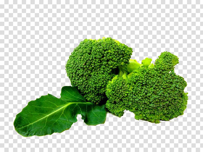 Broccoli slaw Vegetable, Broccoli transparent background PNG clipart