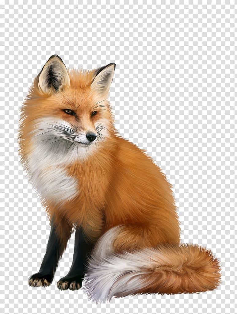 Red fox Portable Network Graphics Animal Computer Icons, fox transparent background PNG clipart