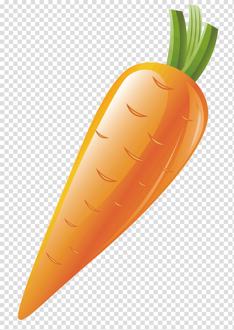 Carrot Vegetable, A carrot transparent background PNG clipart