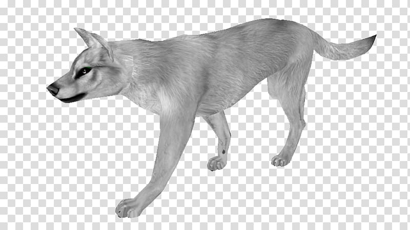 Saarloos wolfdog Czechoslovakian Wolfdog Dog breed Coyote Border Collie, puppy transparent background PNG clipart
