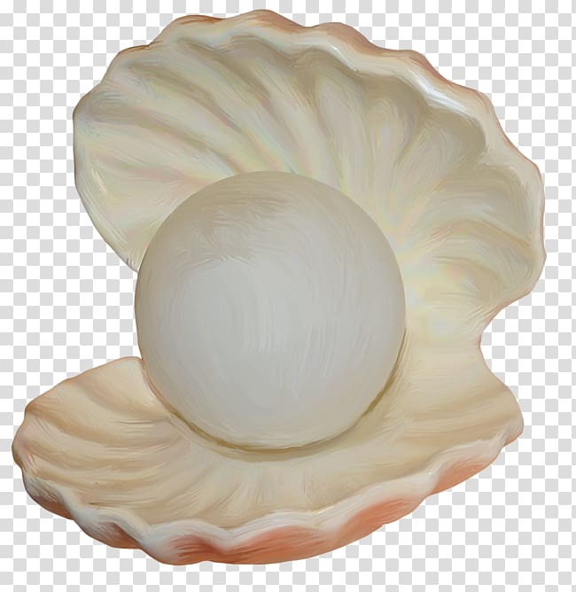Seashell Mollusc shell Molluscs , seashell transparent background PNG clipart