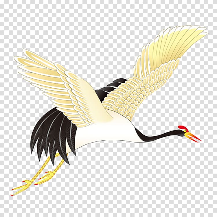 Red-crowned crane Bird Grey crowned crane Siberian crane, crane transparent background PNG clipart