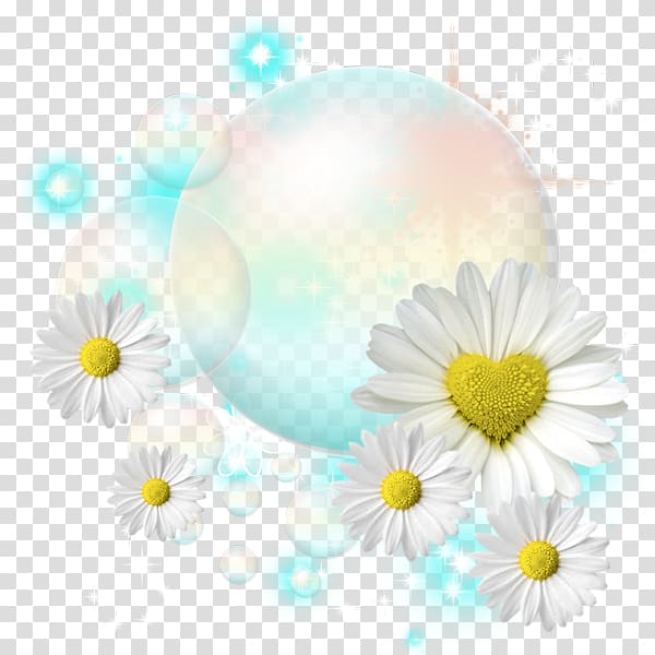 Common daisy Birth flower Pseudanthium Common sunflower, flower transparent background PNG clipart