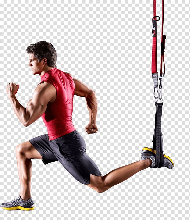 Physical fitness Exercise Suspension training Fitness Centre, certification transparent background PNG clipart