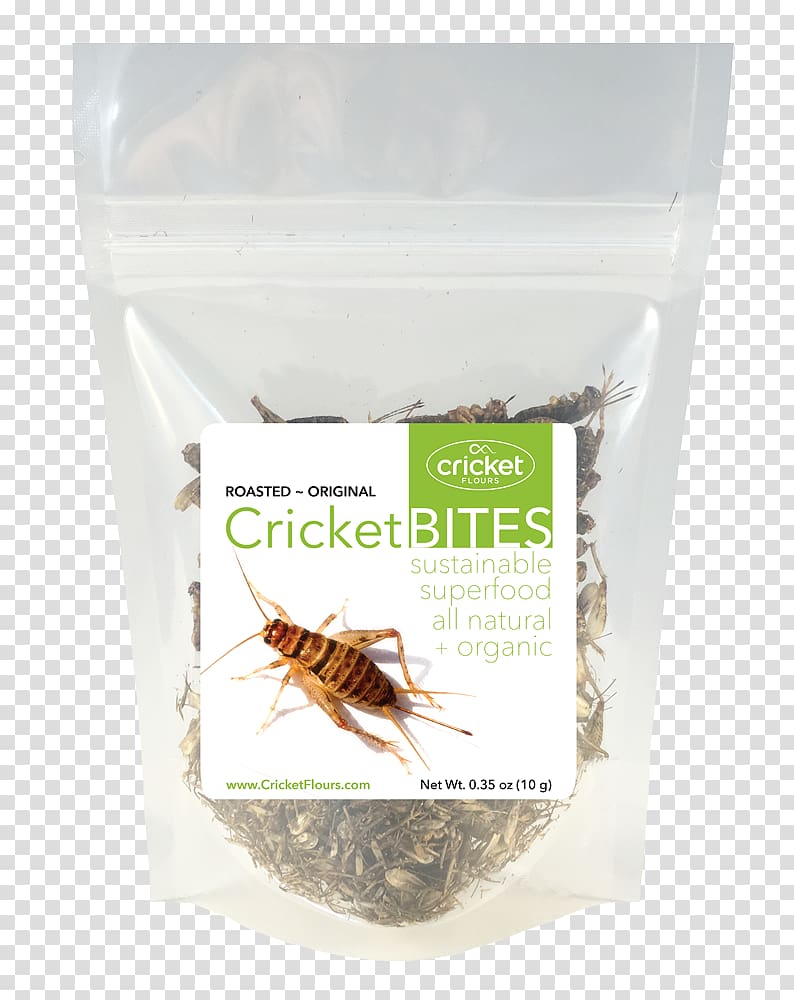 Cricket flour Portland Flavor Food Entomophagy, cricket insect transparent background PNG clipart