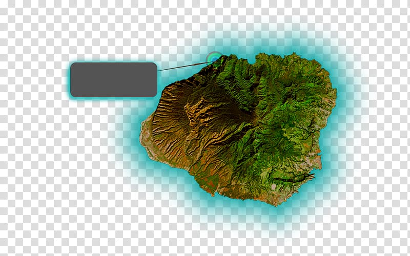 Kauai Topographic map Organism Topography, map transparent background PNG clipart