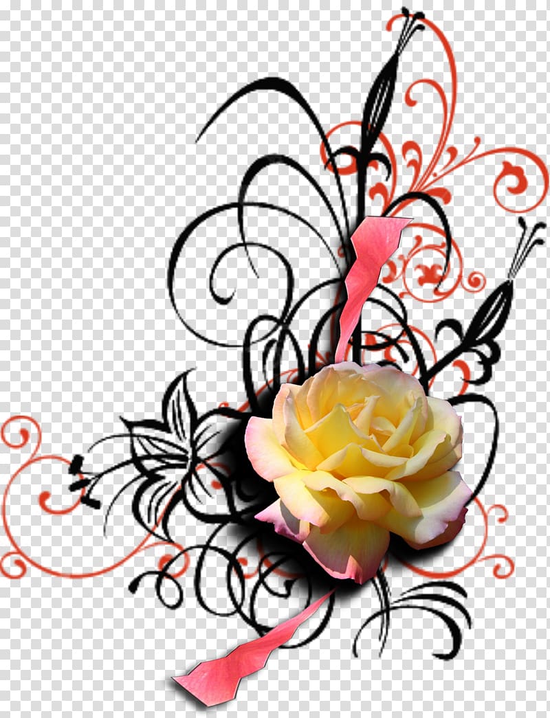 Cut flowers Garden roses , BORDAS transparent background PNG clipart