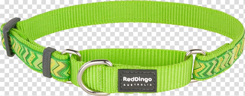 Dog collar Martingale Dingo Red, red collar dog transparent background PNG clipart