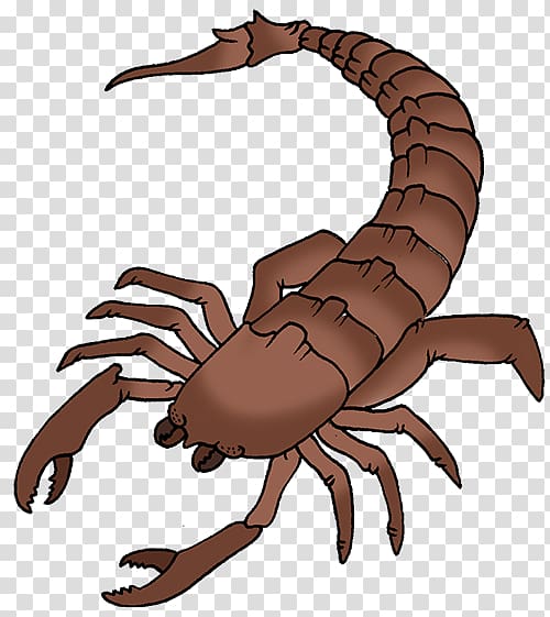 Scorpion , Scorpion transparent background PNG clipart