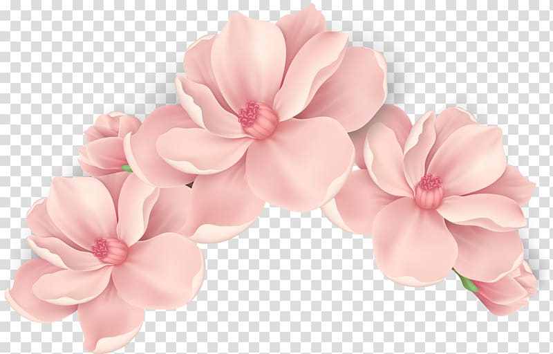Pink flowers Pink flowers, hand painted pink flowers, pink petaled flowers transparent background PNG clipart