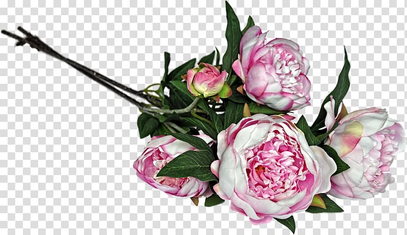 Cut flowers Garden roses Floral design Floristry, flower transparent background PNG clipart